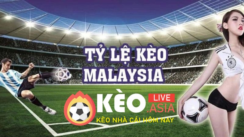 Cách đọc kèo malaysia và tỷ lệ kèo chi tiết