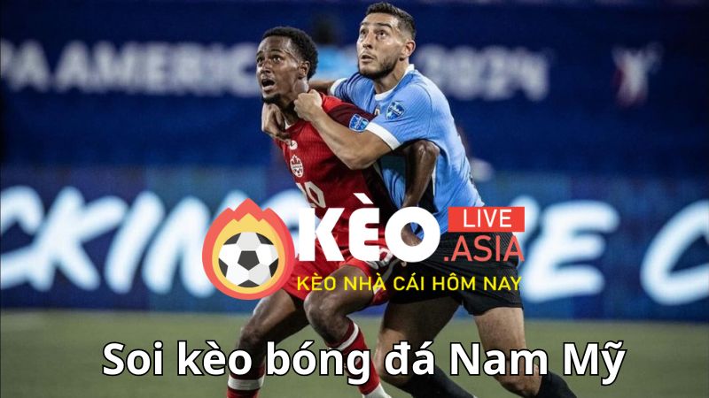 Nhận định và soi kèo bóng đá Nam Mỹ từ các chuyên gia