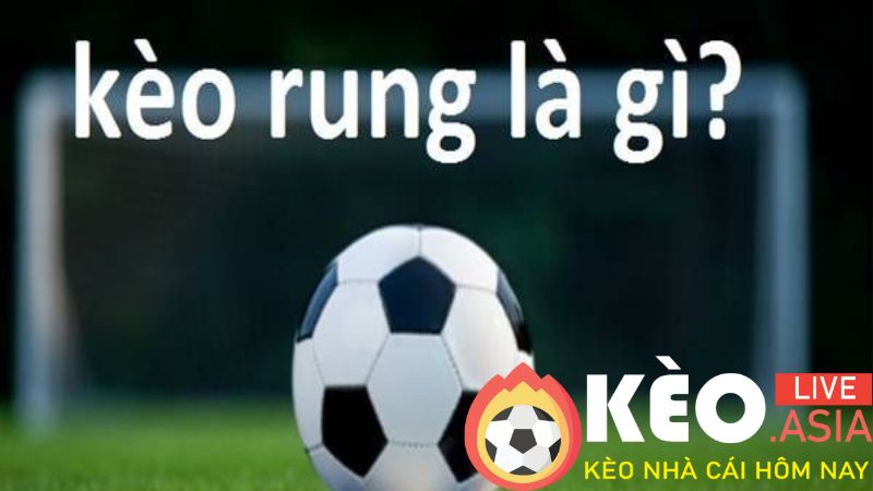 Tìm hiểu chi tiết về kèo rung trong bóng đá