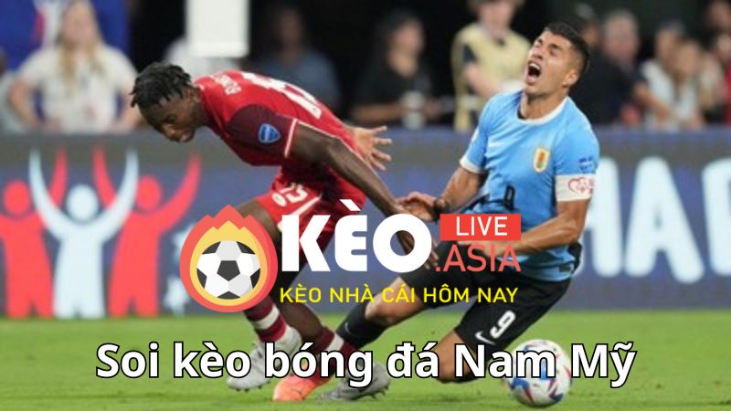 Tìm hiểu về bóng đá Nam Mỹ