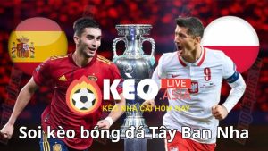 Tìm hiểu về bóng đá Tây Ban Nha