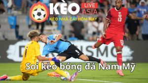 Tỷ lệ cược bóng đá Nam Mỹ và cách tính tiền thắng thua khi cược